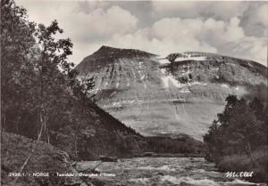 TAMOKDAL TROMS. NORWAY~OVERGARD~MITTET PHOTO POSTCARD 1950s