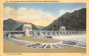 Fish Ladders, Bonneville Dam Portland , Oregon OR