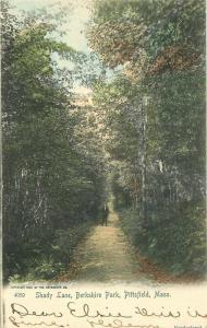 Berkshire Pittsfield Massachusetts Shady Lane hand colored 1905 Postcard 474