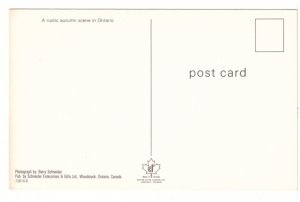 A Rustic Autumn Scene In Ontario Vintage Chrome Postcard