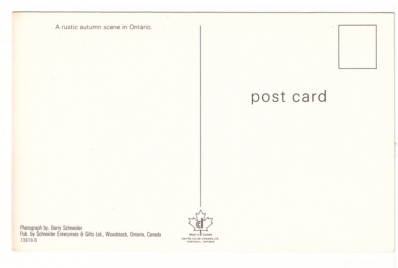 A Rustic Autumn Scene In Ontario Vintage Chrome Postcard