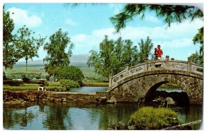 Liliuokalani Park Hilo with snow capped Mauna Kea in the distanceHawaii Postcard