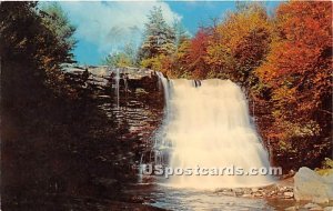 Muddy Creek Falls, Swallow Falls State Forest in Garrett County, Maryland