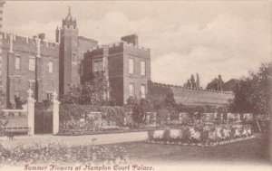 England London Hamton Court Palace Summer Flowers