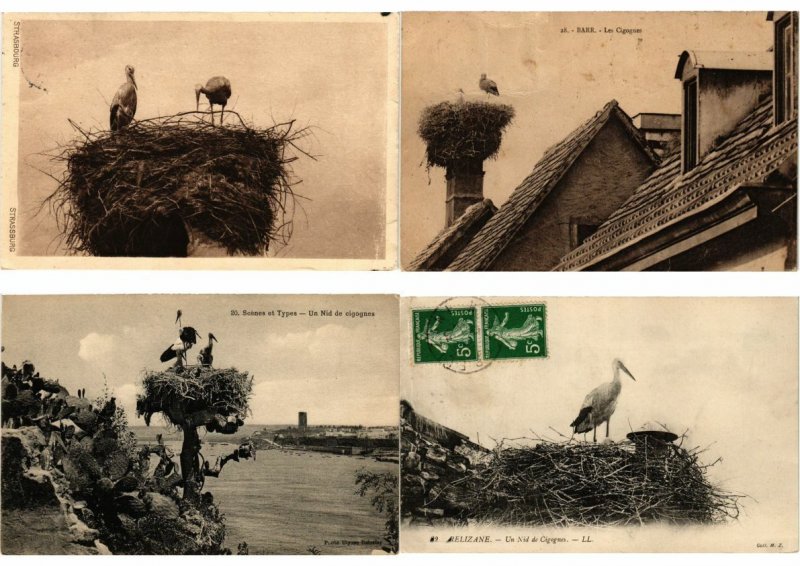 STORKS CIGOGNES Birds 500 Vintage Postcards Mostly pre-1940 (L2840)