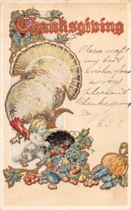Thanksgiving Greetings Turkey Cherub Abundance Fruits embossed postcard B988