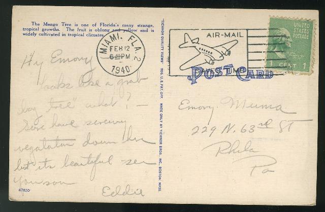 Mango Tree Miami FL Tichnor Linen Postcard 1940 Air Mail Saves Time Slogan Cance