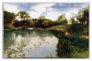 Springtime View of Lagoon Lincoln Park Chicago Illinois IL UNP DB Postcard Y2