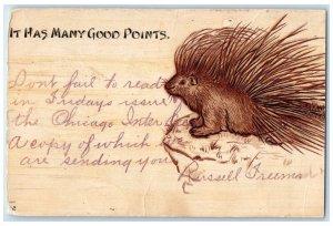 1906 Porcupine It Has Many Good Points Chicago Illinois Wall Lake IA Postcard