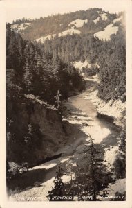 RPPC EEL RIVER From Redwood Highway, California c1920s Vintage Photo Postcard