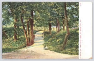 State View~Harrisburg PA~A Tree-Lined Walk In Paxtang Park~Vintage UDB Postcard
