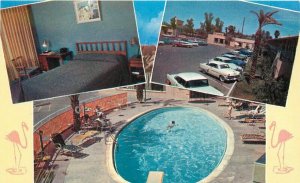 Swimming Pool 1950s Phoenix Arizona Colorpicture Flamingo Hotel Postcard 21-1631