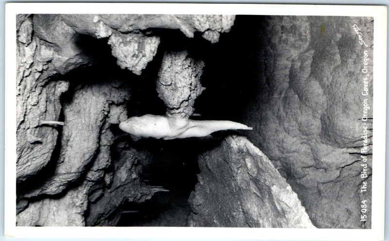 x10 LOT 1940s-50s Oregon Caves RPPC Cavern Inside Feature Real Photo Sawyer A175