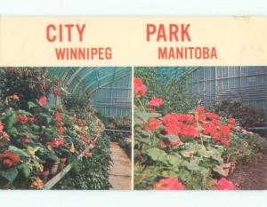 Unused Pre-1980 FLOWER GARDEN CONSERVATORY AT CITY PARK Winnipeg MB c7435