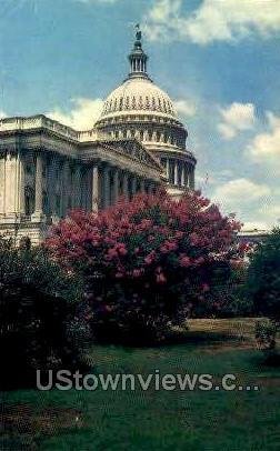 Capitol Building, District Of Columbia