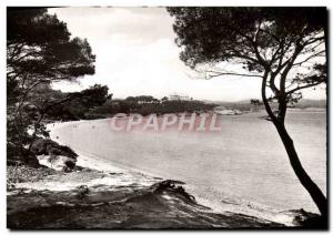 Postcard Modern Porquerolles Beach Courtade