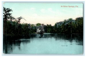 1911 At Silver Springs Ocala Florida FL Posted Antique Postcard