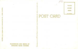 Flamingos & Nests Hialeah Race Course, USA Unused 