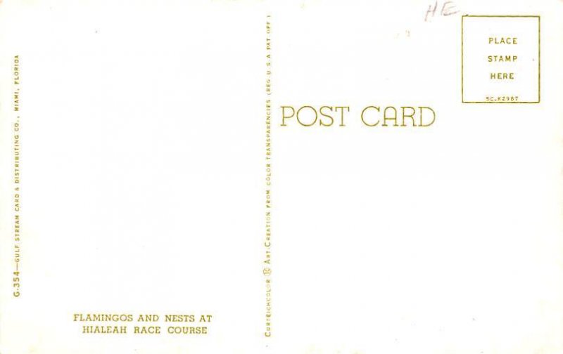 Flamingos & Nests Hialeah Race Course, USA Unused 