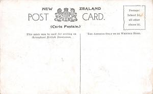 One tree Hill from Mt. Eden, New Zealand, Early Postcard, Unused