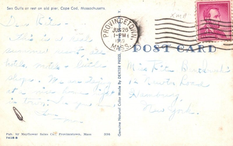 Vintage Postcard 1959 Seagulls at Rest in Pier Cape Cod Massachusetts Mayflower