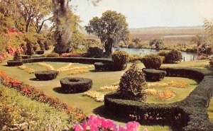 Scroll Garden at Orton Plantation near Wilmington - Wilmington, North Carolin...