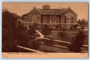 Mt Pleasant Michigan MI Postcard Gymnasium Building Central State Normal 1916