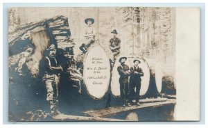 Western W. Pine Wm. E. Barrett Chicago Postcard RPPC Loggers Giant Cut Trees