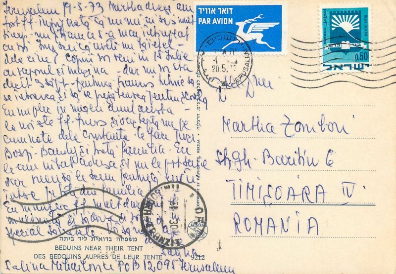 Beduins near their tent camel Postcard