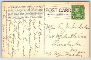 Cape Cod  Massachusetts Postcard   c1945