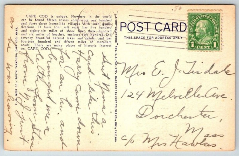 Cape Cod  Massachusetts Postcard   c1945