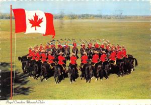 BG13798 royal canadian  mounted police horse military militaria canada