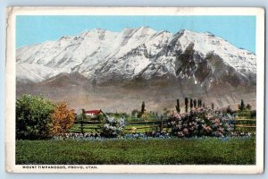 Provo Utah UT Postcard Mount Timpanogos Flower Mountains Nature Scenery Vintage