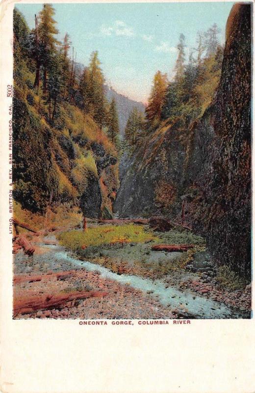 OR, Oregon       ONEONTA GORGE      Columbia River        c1910's Postcard