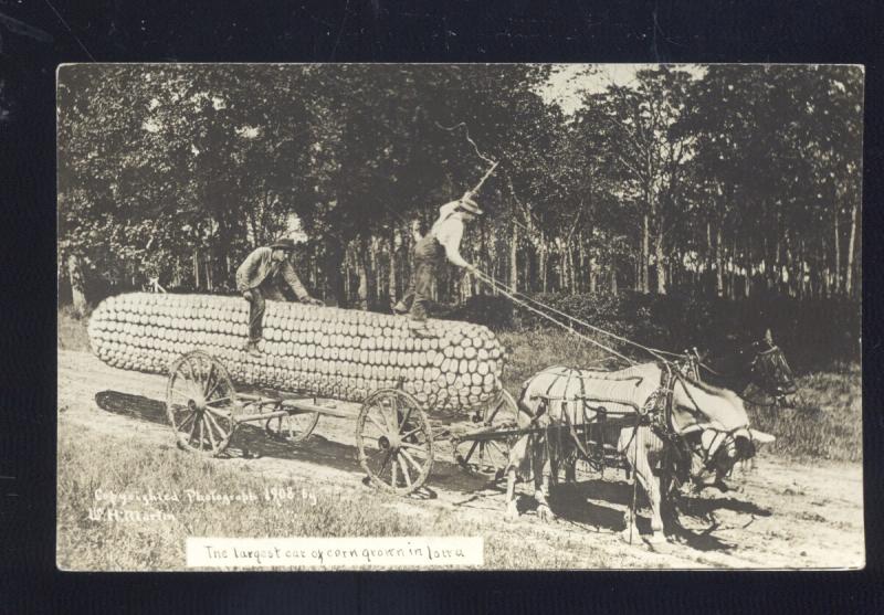 RPPC WH MARTIN EXAGGERATION CORN FARMING IN IOWA REAL PHOTO POSTCARD 1909