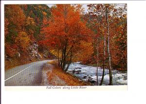 Fall Colors, Little River, Great Smoky Mountains National Park, North Carolin...