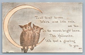 HALLOWEEN ANTIQUE POSTCARD printed in DANSVILLE NY PAIR of OWLS w/ CRESCENT MOON