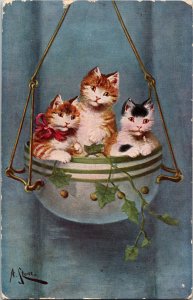 Kittens in a Hanging Planter Pot artist signed PM Montana, to Joliet Postcard