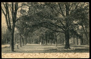 Campus View, Oberlin, Ohio. 1907 undivided back postcard