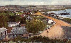 Bluffs  Makahuena HI Unused