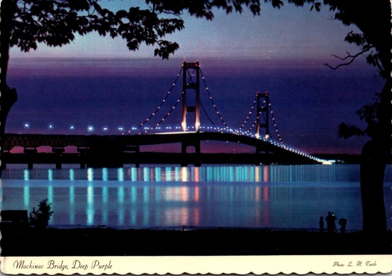 Michigan Mackinac Bridge At Night Deep Purple