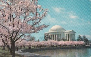 Washington D C Jefferson Memorial At Cherry Blossom Time