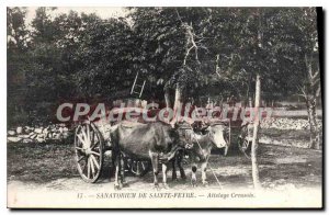 Postcard From Old Sanatorium St. Feyre Allelage Creusois