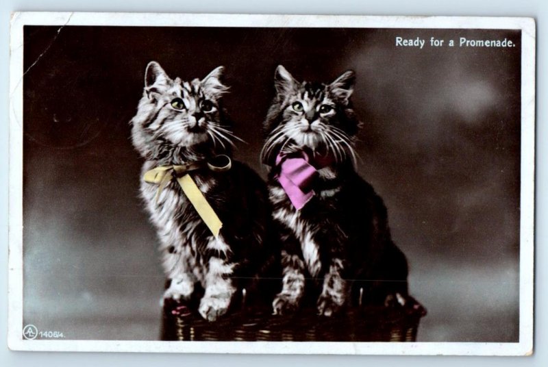 RPPC Two Fluffy Kittens READY FOR A PROMENADE 1908 Aristophot Tinted Postcard