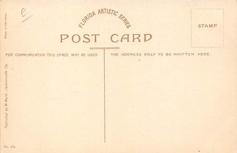 Ostrich Farm Racing Ostrich