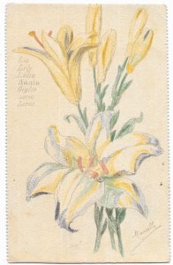 1918 Hand Designed & Colored Unmailed Grenoble French Post Card, Lily, signed