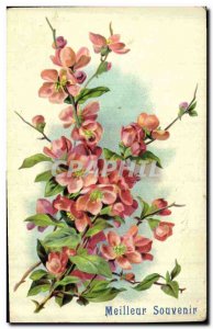 Old Postcard Fantasy Flowers