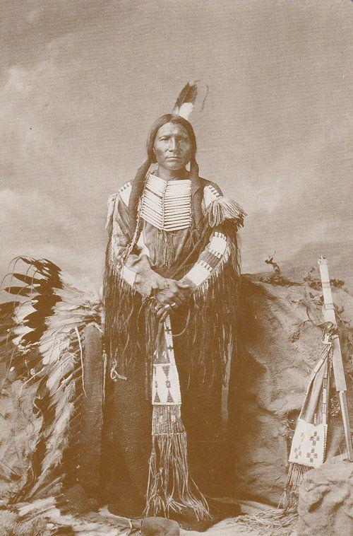 Little Big Man Ogalalla Dakota Sioux Red Indian Western Postcard