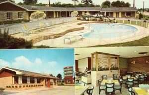 The Etowah Motel and Restaurant - Etowah, Tennessee - Vintage Postcard