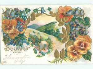 Divided-Back BEAUTIFUL FLOWERS SCENE Great Postcard AA2502